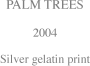PALM TREES