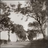 owmbyroadpinholeMuseum